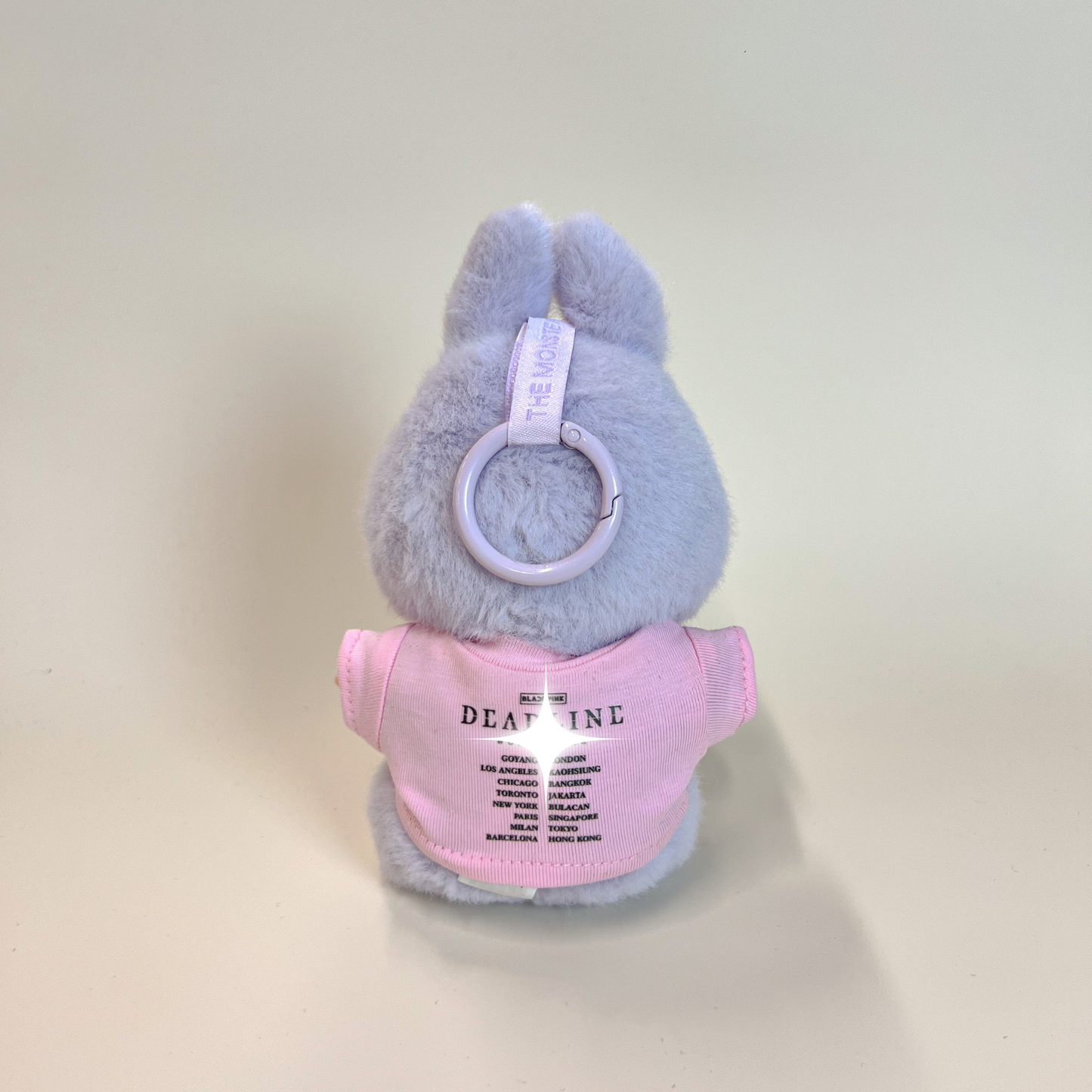 Labubu Concert Outfit Set – Pink Tour Tee with Mini Fan Lightstick (2 Items)