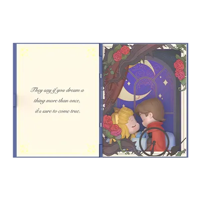 Disney Princess's Fairy Tales Series SceneSets