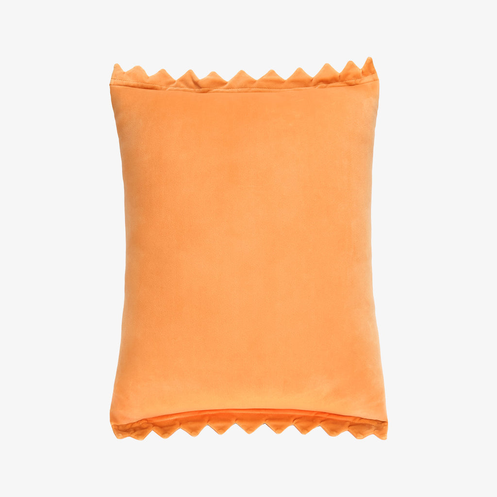 THE MONSTERS LABUBU Wacky Mart Series-Pillow (Chips)