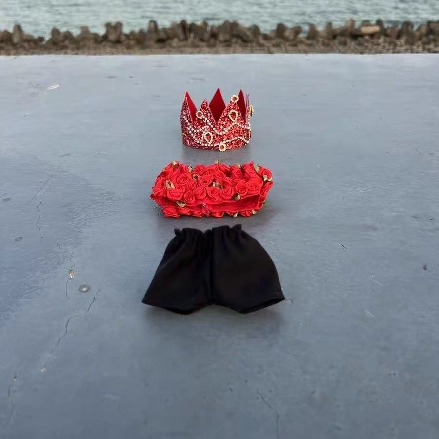 Labubu doll clothes Same model as G-Dragon's concert (No doll)